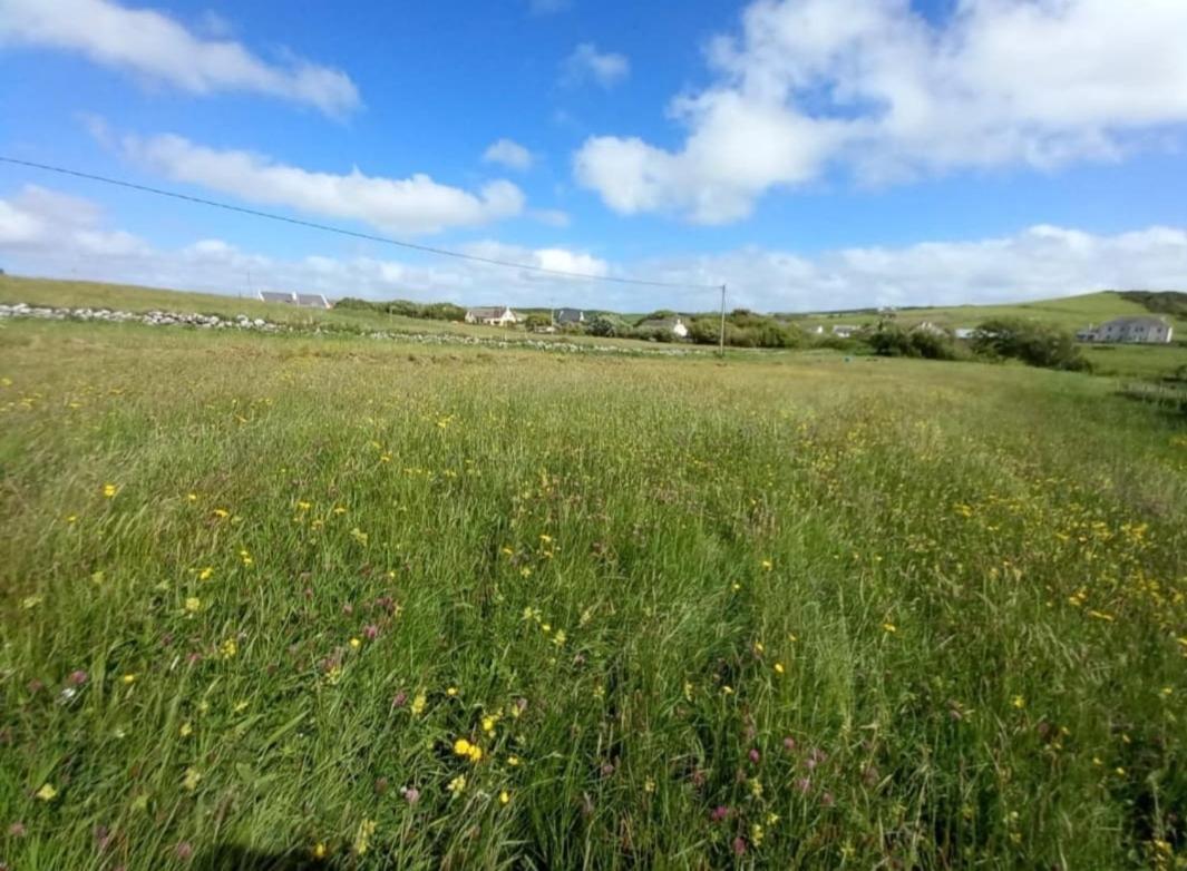 Wild Meadow Huts * Doolin
