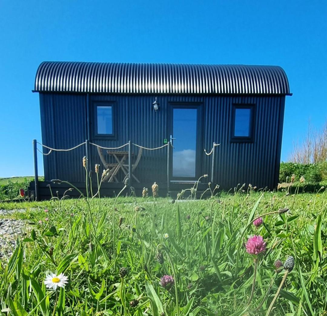 Wild Meadow Huts Hébergement de vacances