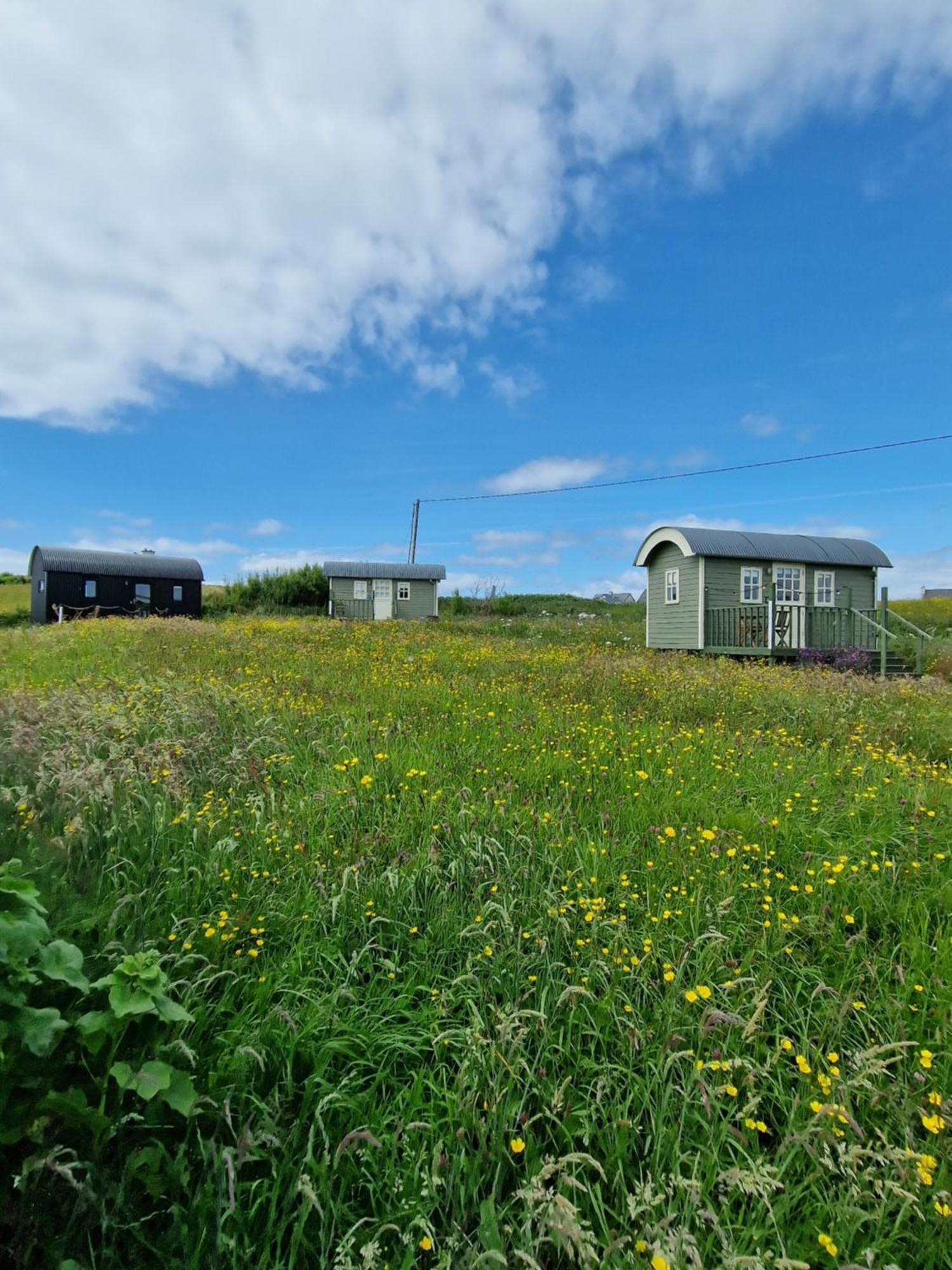 Hébergement de vacances Wild Meadow Huts *