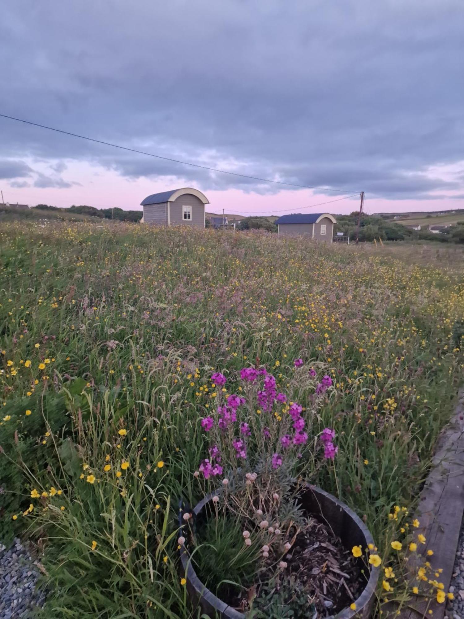 Wild Meadow Huts
