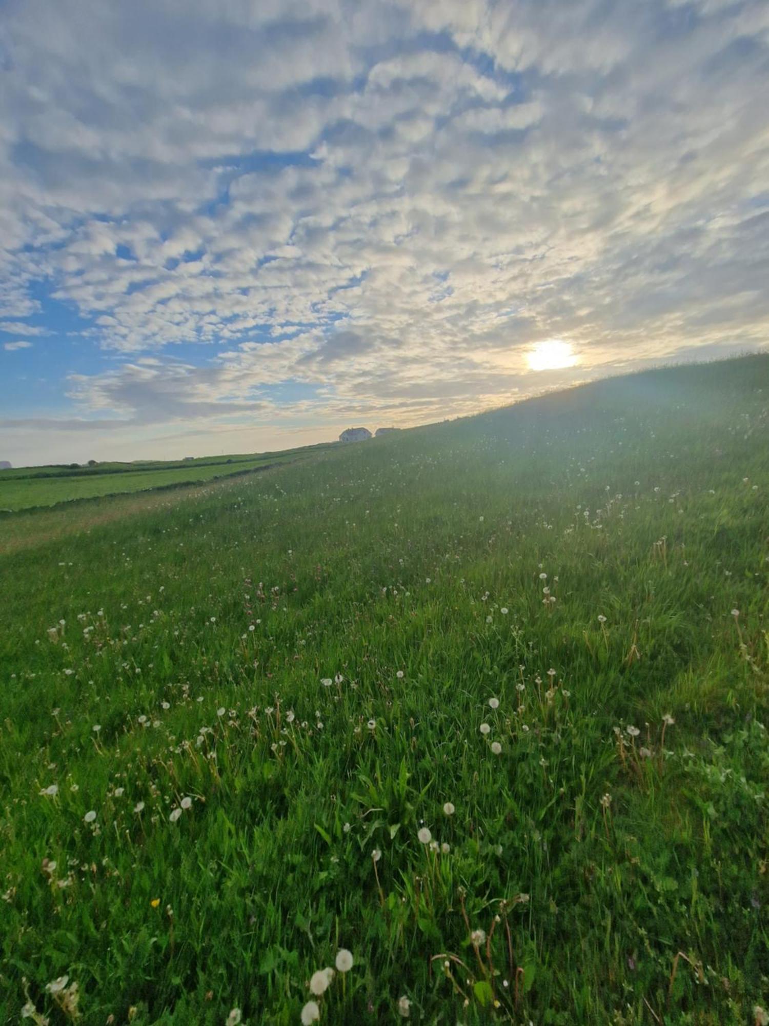 Wild Meadow Huts Hébergement de vacances