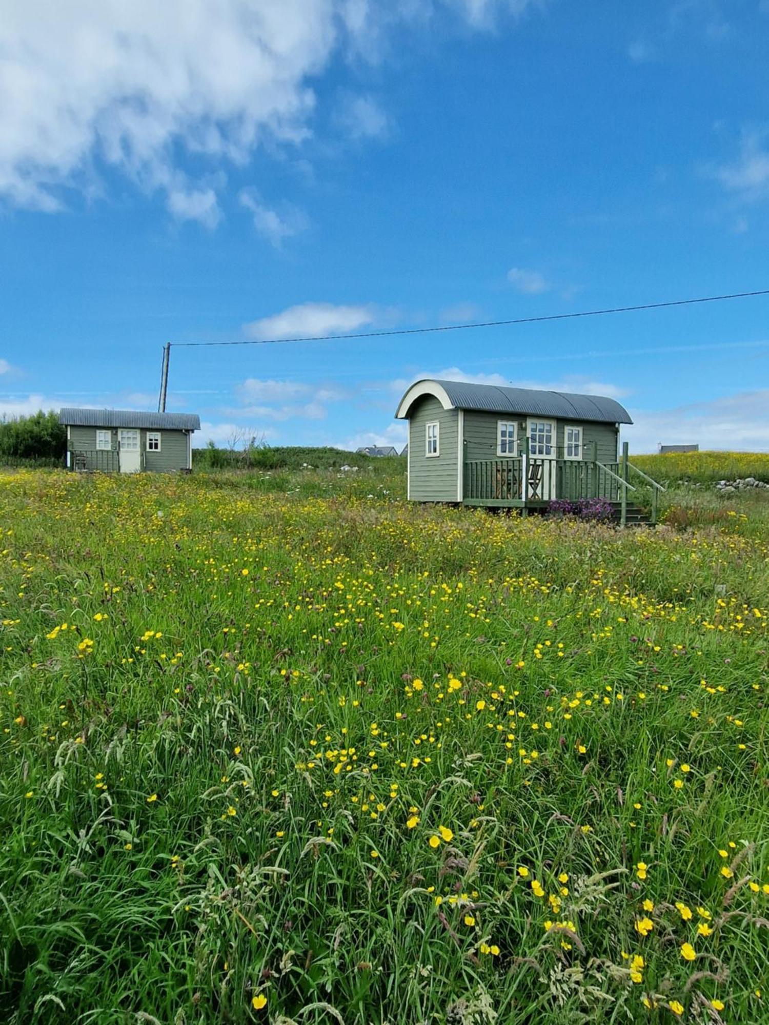 Wild Meadow Huts Hébergement de vacances *