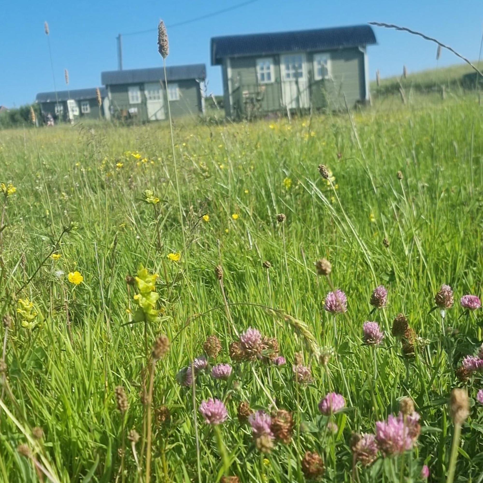 Wild Meadow Huts Hébergement de vacances *